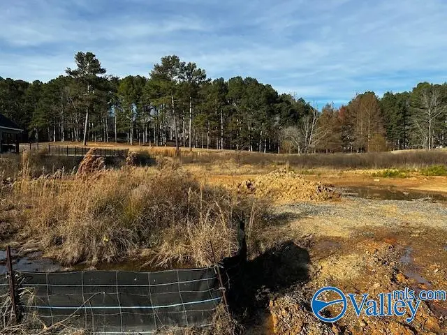 Lot 10 Cherokee Ridge Drive, Cherokee Ridge, AL 35175 - Image #1
