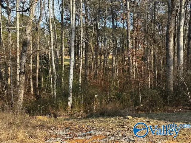 Lot 2 Oak Ridge Way, Cherokee Ridge, AL 35175 - Image #1