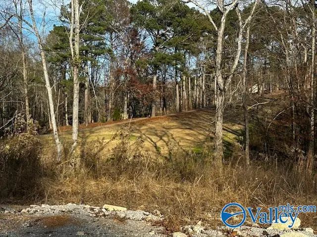 Lot 2 Oak Ridge Way, Cherokee Ridge, AL 35175 - Image #2