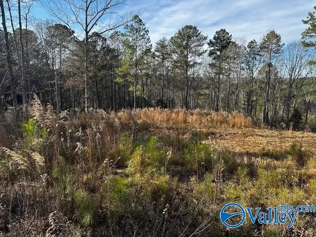 Lot 226 Woodmont Drive, Cherokee Ridge, AL 35175 - Image #2