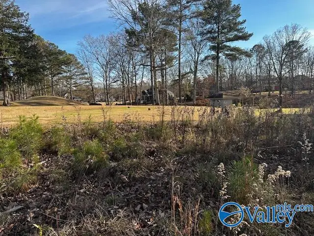 Lot 226 Woodmont Drive, Cherokee Ridge, AL 35175 - Image #3