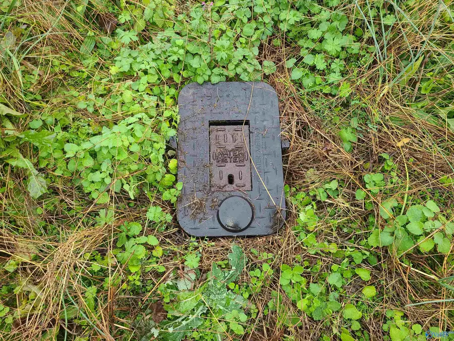 27287 Oakcrest Drive, Athens, AL 35613 - Image #2