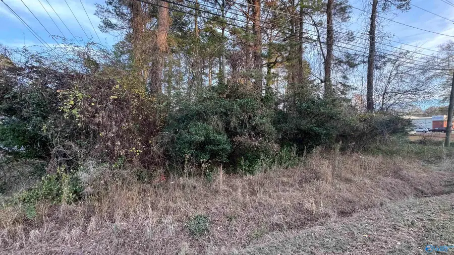 Address Withheld By Seller, Rainbow City, AL 35906 - Image #3