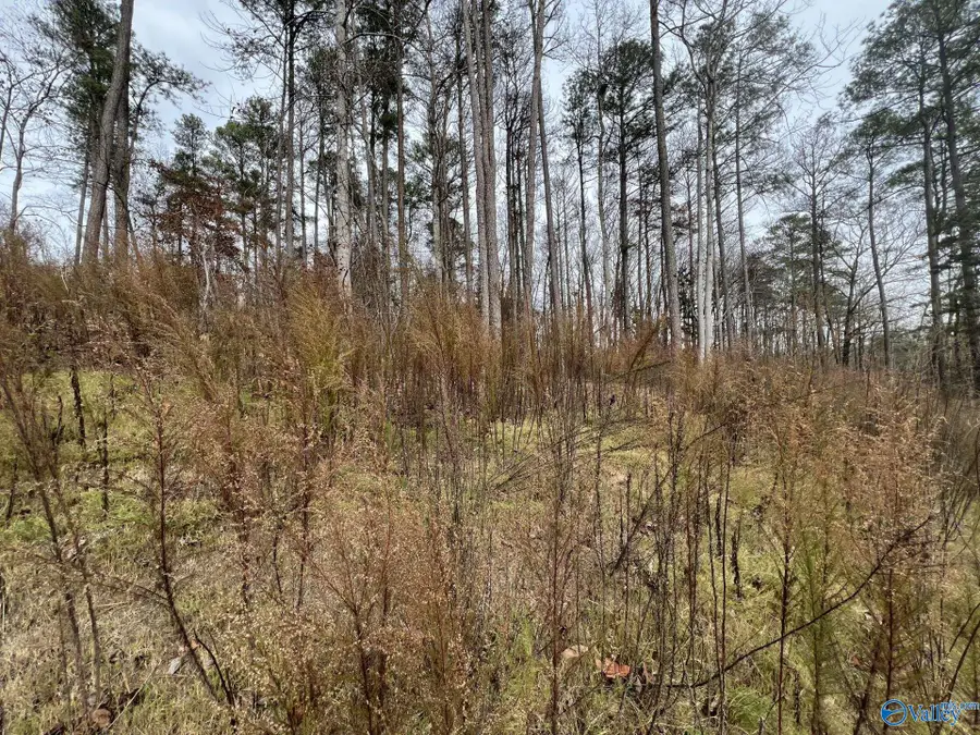 5627 Alabama Highway 227, Guntersville, AL 35976 - Image #2