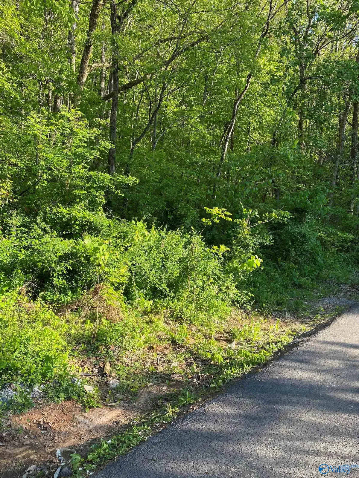 3711 Wilborn Avenue, Fort Payne, AL 35967 - Image #1