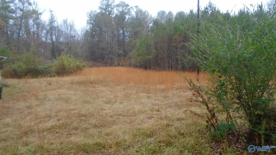 815 County Road 53, Heflin, AL 36264 - Image #3