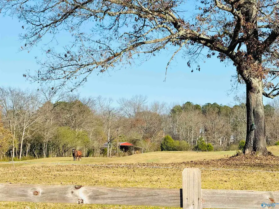 627 Neel School Road, Danville, AL 35619 - Image #2