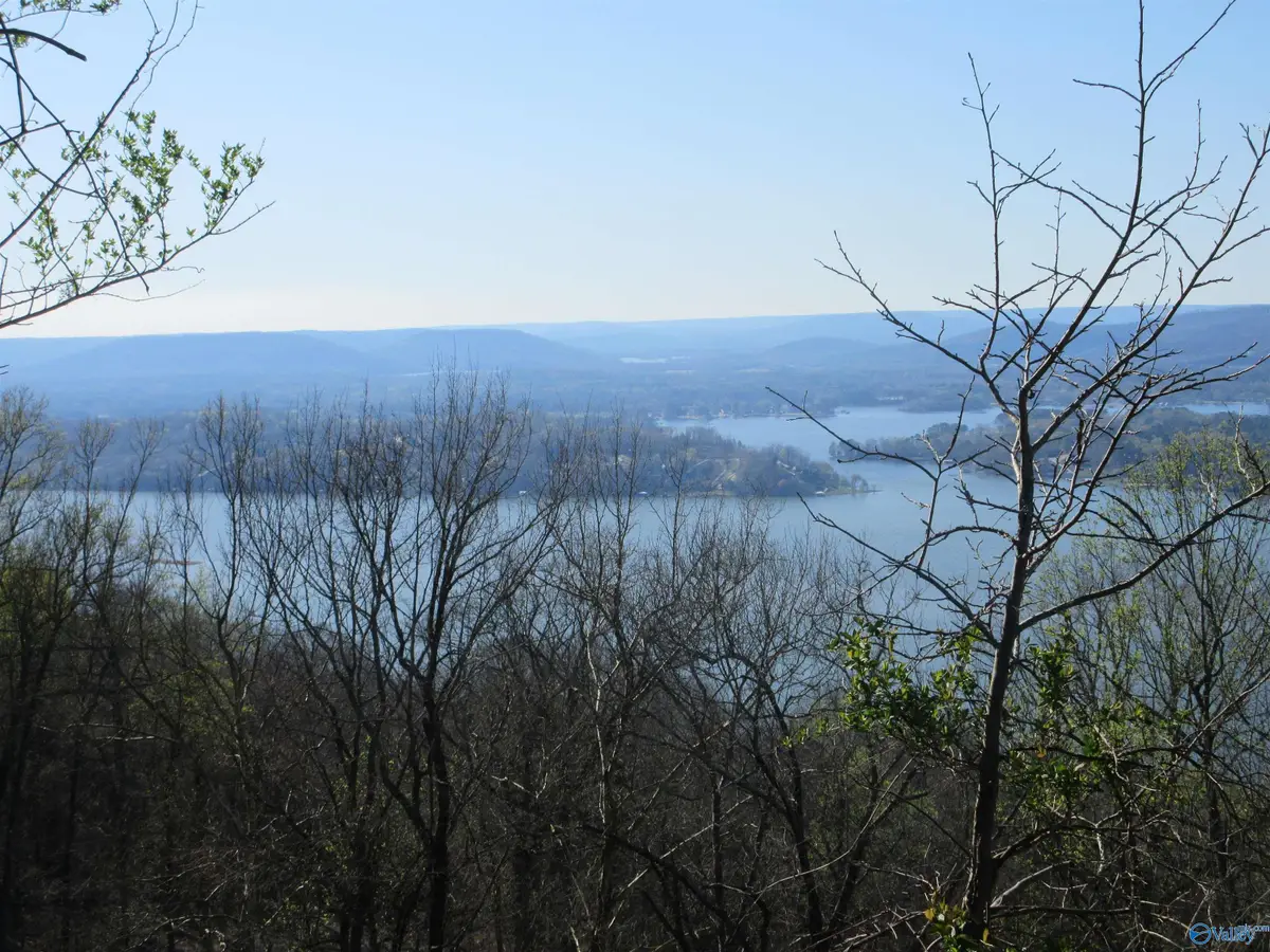 1960 County Road 223, Dutton, AL 35744 - Image #1