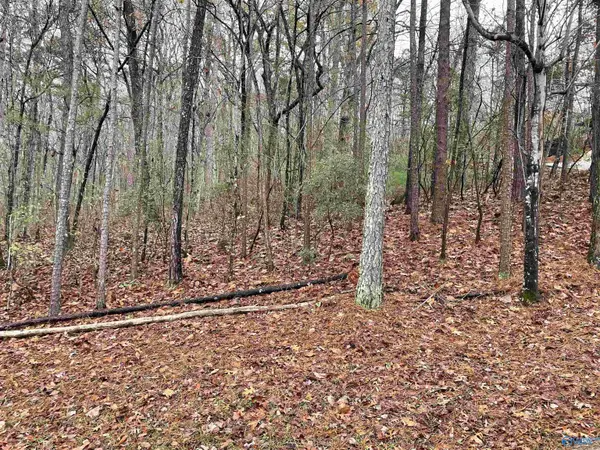 Lot 5 Greenbriar Road, Gadsden, AL 35901