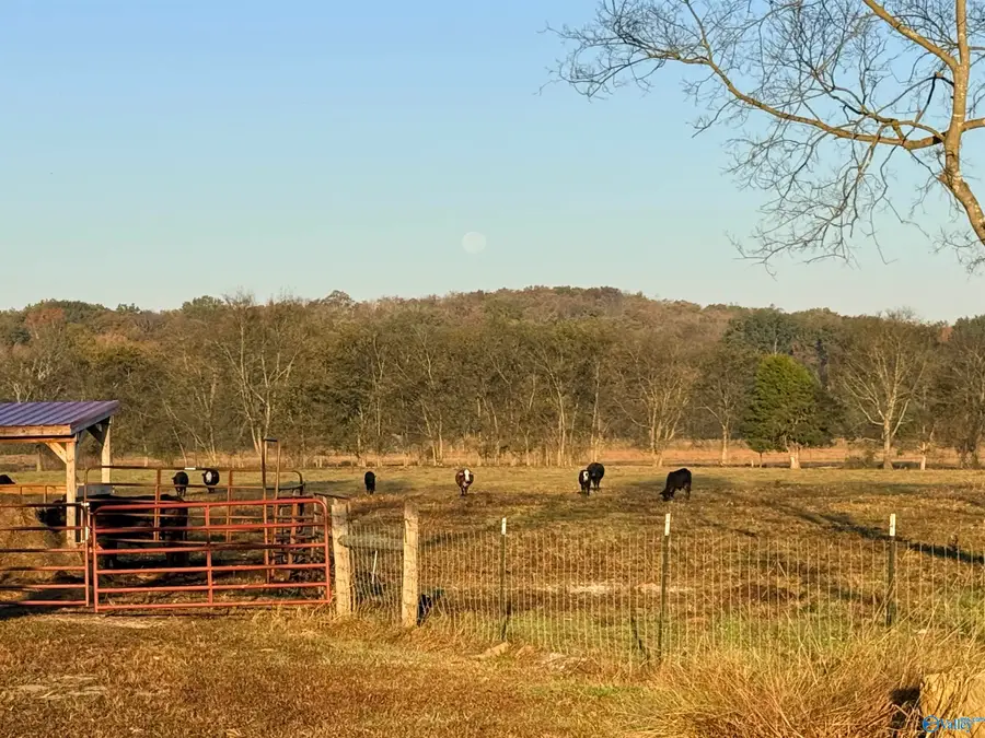 53 Acres County Road 41 W, Danville, AL 35619 - Image #3