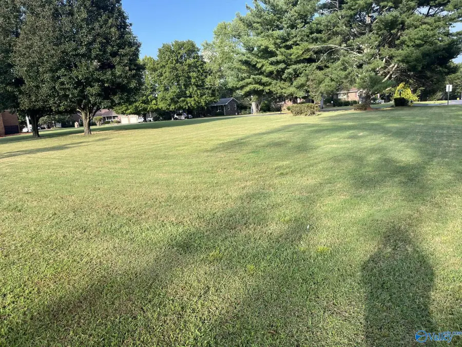 Lot 72 Hudgins Drive, Albertville, AL 35951 - Image #2