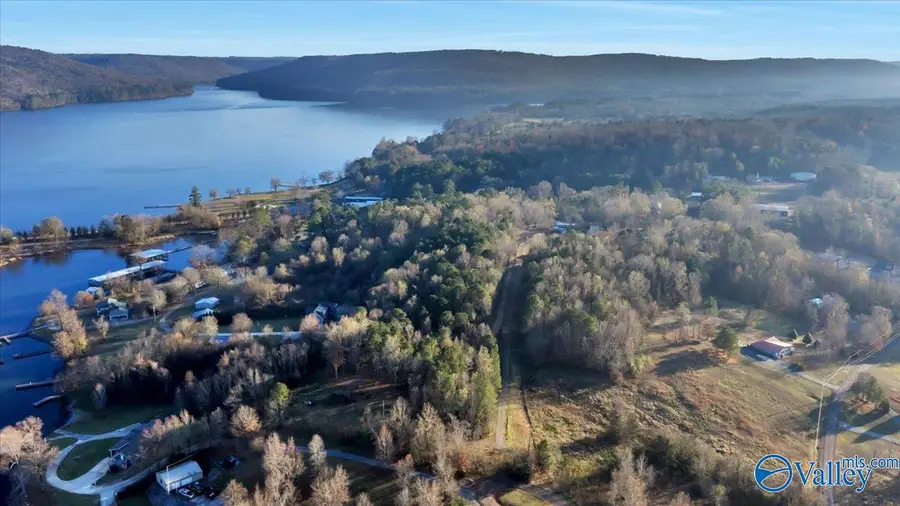 5.58 ac Rachel Drive, Langston, AL 35755 - Image #3