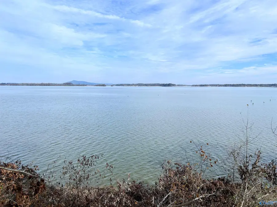 Lot 7 County Road 519, Cedar Bluff, AL 35959 - Image #3