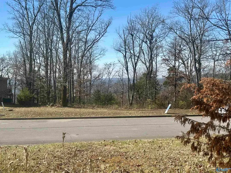 2812 Talon Circle Ne, Huntsville, AL 35811 - Image #3