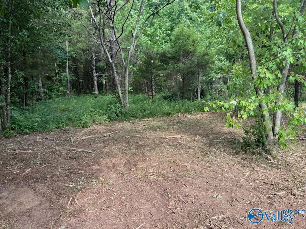 6.33 acres South Greenway Drive, Trinity, AL 35673 - Image #1