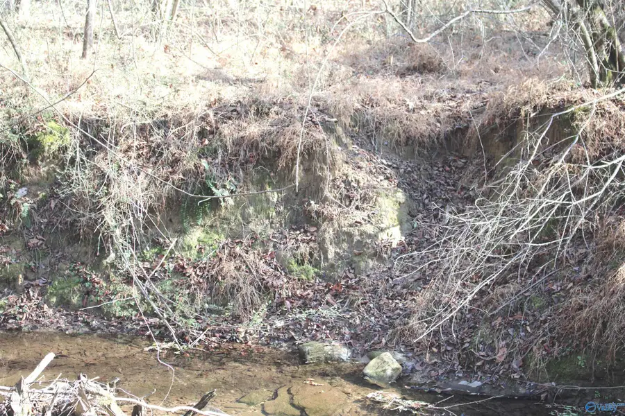 451 Johnson Road, Albertville, AL 35951 - Image #2