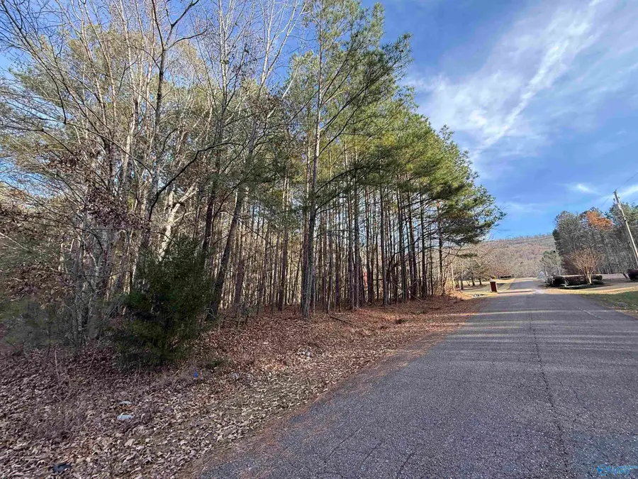 Lot 3 Sweetwater Lane, Rainbow City, AL 35906 - Image #2