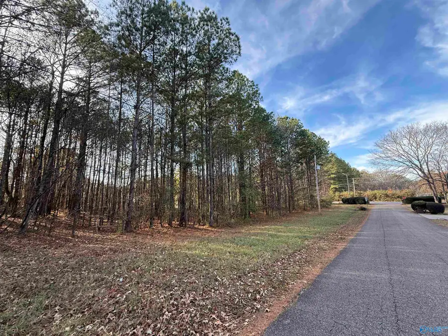 Lot 19 Sweetwater Lane, Rainbow City, AL 35906 - Image #3