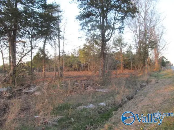11 Hogs Lane, Albertville, AL 35951