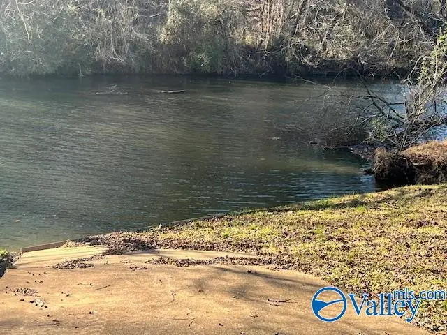 915 County Road 1042 #LOT 43, Centre, AL 35960 - Image #3