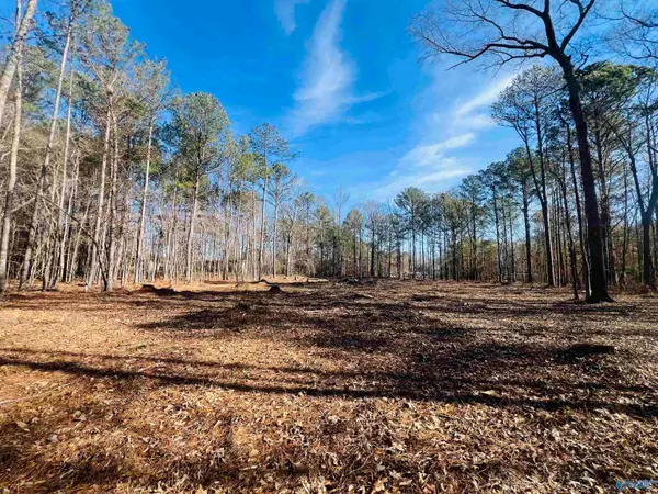 Lot 14 Posey Road, Hokes Bluff, AL 35903