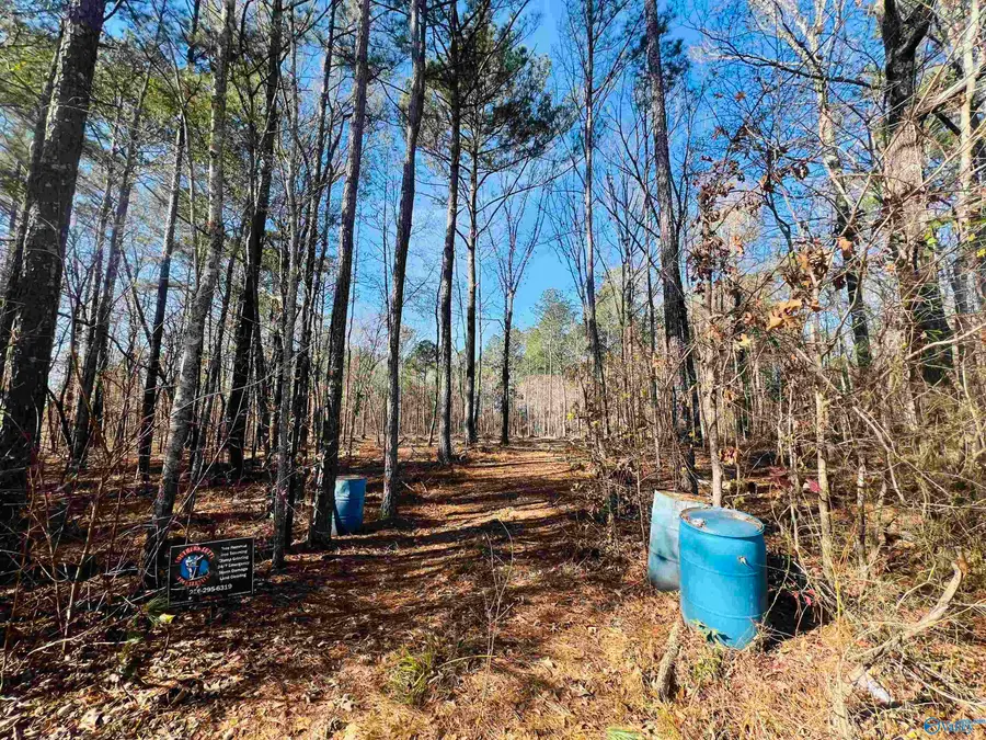 Lot 14 Posey Road, Hokes Bluff, AL 35903 - Image #2