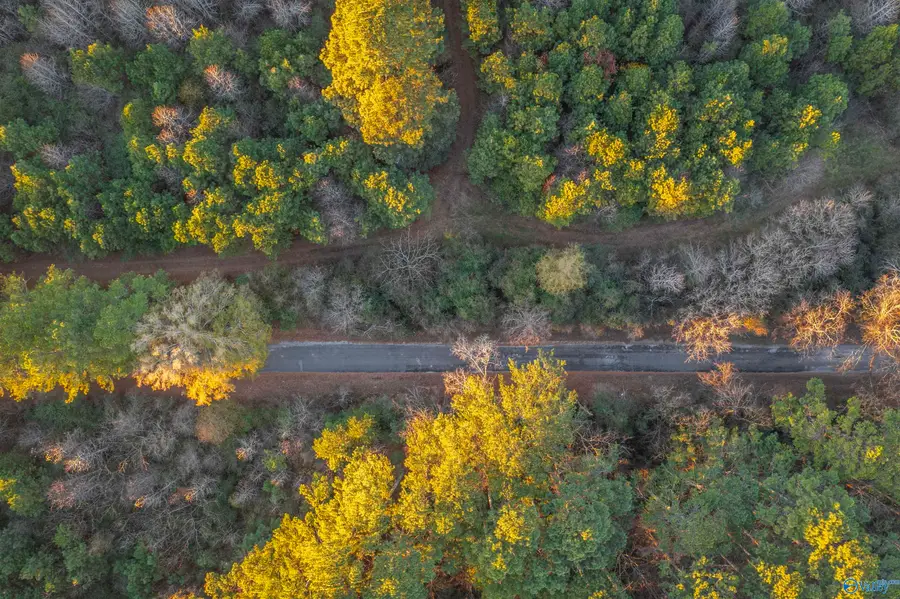 76 acres Broken Arrow Drive, Gadsden, AL 35901 - Image #3