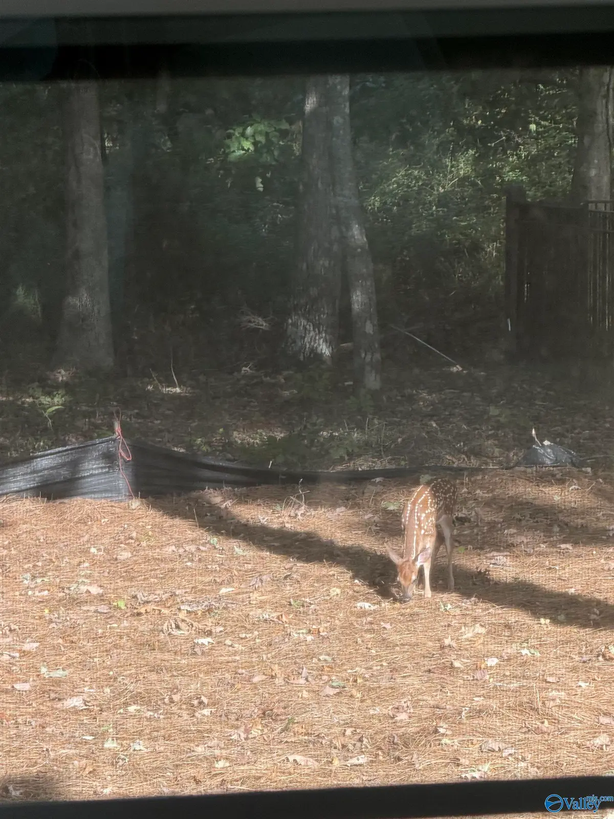 29 Bluff Creek, Huntsville, AL 35803 - Image #1