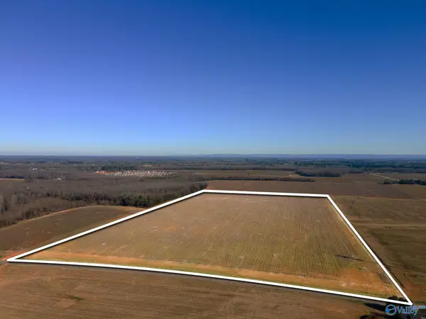 73.80 acres Pulaski Pike, Toney, AL 35773