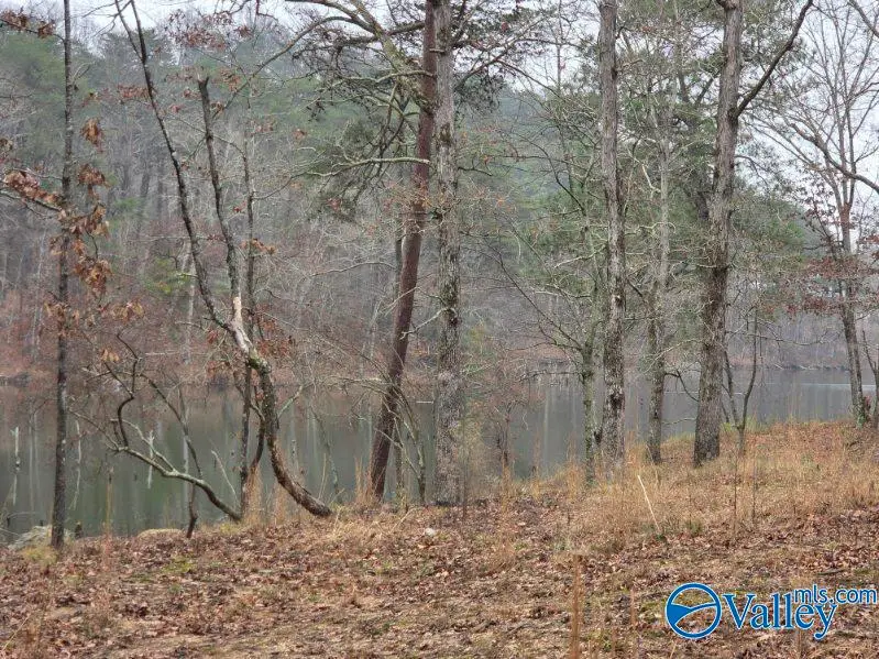 94 Caney Cove Road, Phil Campbell, AL 35581 - Image #1