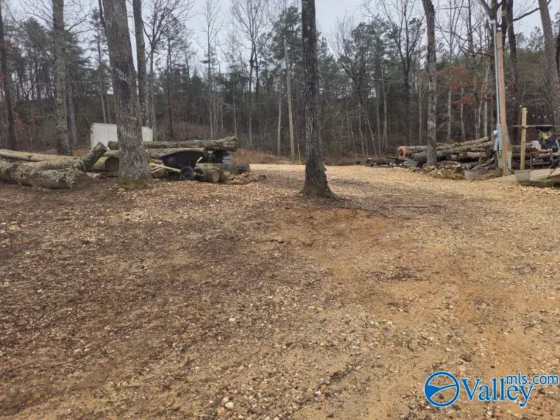 94 Caney Cove Road, Phil Campbell, AL 35581 - Image #2