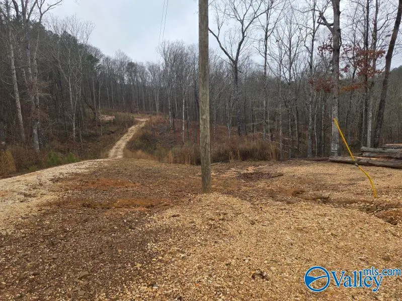 94 Caney Cove Road, Phil Campbell, AL 35581 - Image #3