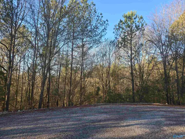 Lot 1,2,3,4 Gallant Cove, Gallant, AL 35972