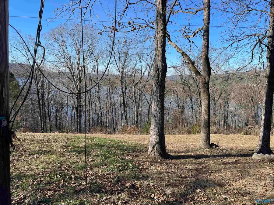 1.12 acres Savory Drive, Scottsboro, AL 35769 - #2