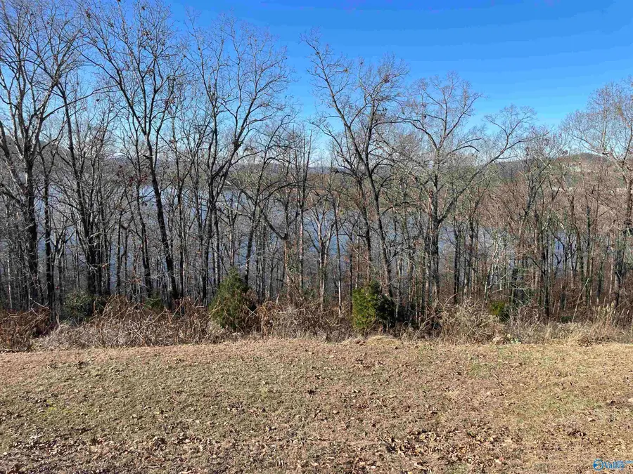 1.12 acres Savory Drive, Scottsboro, AL 35769 - #3