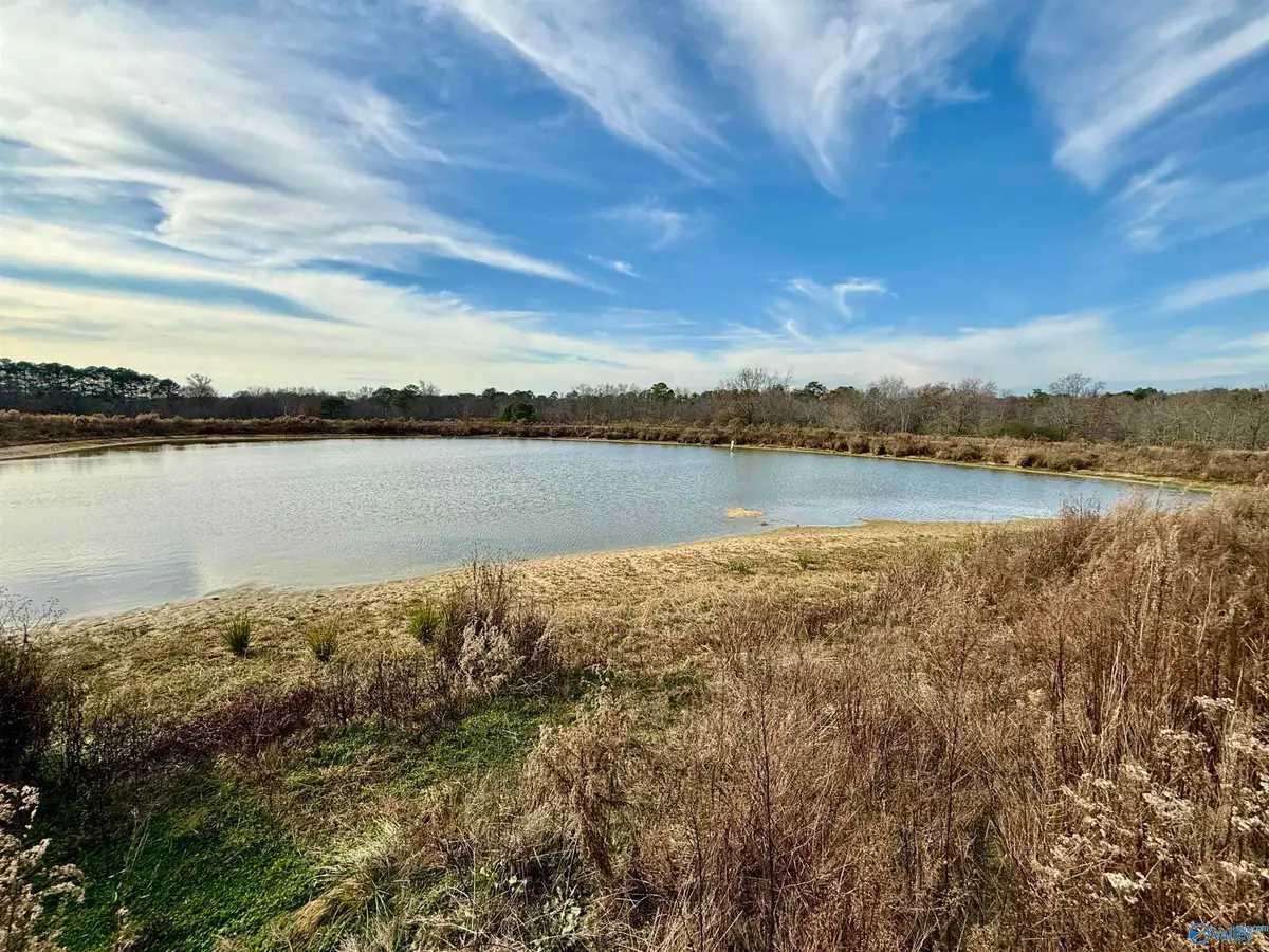 36 AC Brown Road, Boaz, AL 35957 - #1