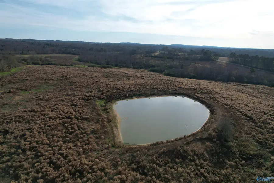 36 AC Brown Road, Boaz, AL 35957 - #2