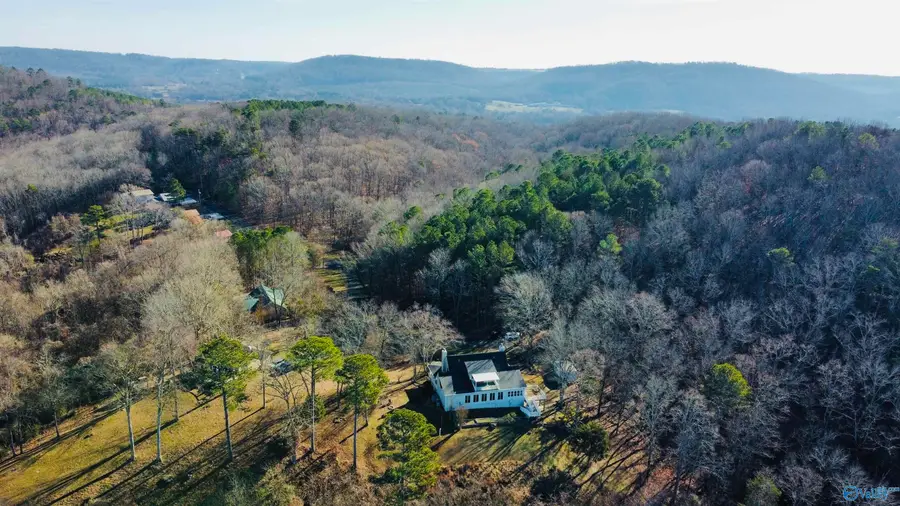 510 Eagle Point Road, Langston, AL 35755 - Image #3