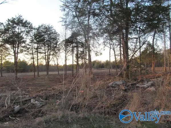 4 Razorback Way, Albertville, AL 35951