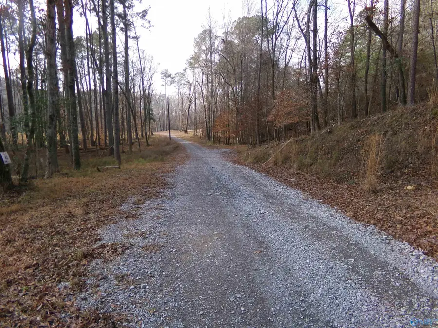 Lot 37 County Road 243, Cedar Bluff, AL 35959 - Image #3