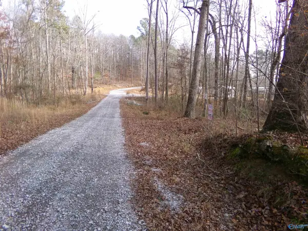 Lot 41 County Road 243, Cedar Bluff, AL 35959