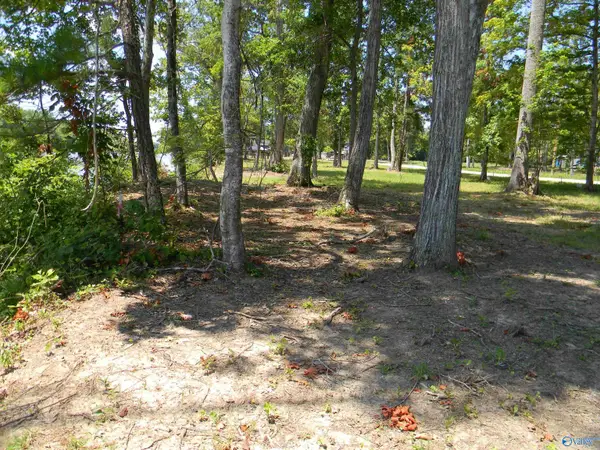 Lots 39 * 40 County Road 182, Cedar Bluff, AL 35959