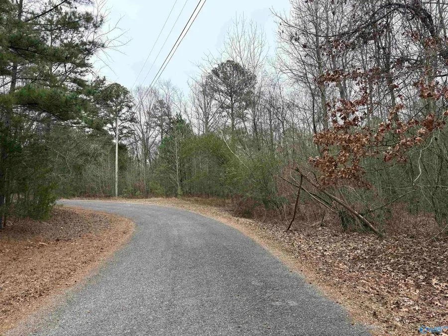 lots 30&31 Chawnee Circle, Scottsboro, AL 35768 - Image #2