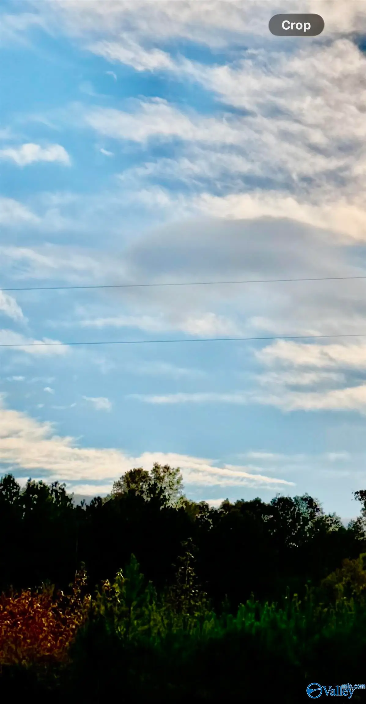 Lot 3 County Road 39, Piedmont, AL 36272 - Image #1