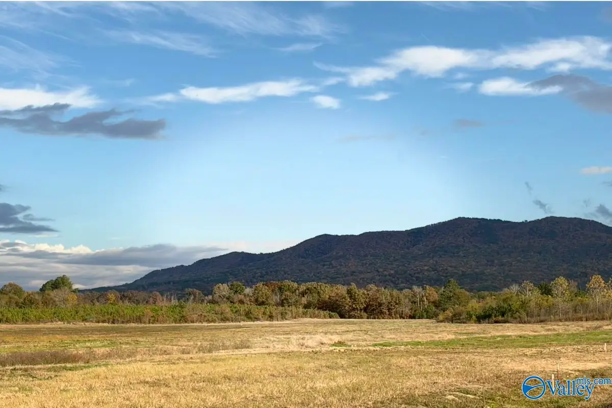 Lot 36 County Road 32, Piedmont, AL 36272 - Image #1