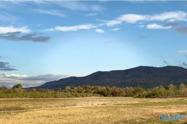 Lot 36 County Road 32, Piedmont, AL 36272