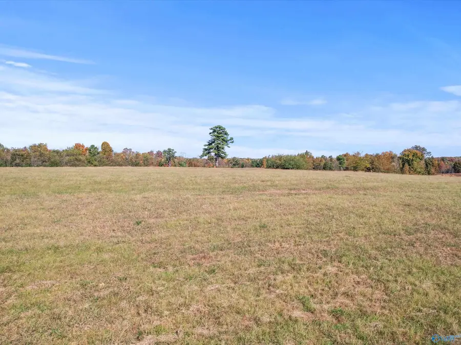 99 Hobbs Loop Road, Ardmore, AL 35739 - Image #3