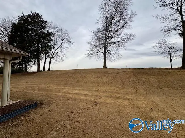 29073 Stonehenge Drive, Toney, AL 35773 - Image #2