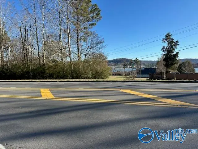 2315 Alabama Highway 79, Guntersville, AL 35976 - Image #2