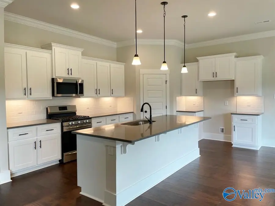 7118 Springwell Court Se, Gurley, AL 35748 - Image #2